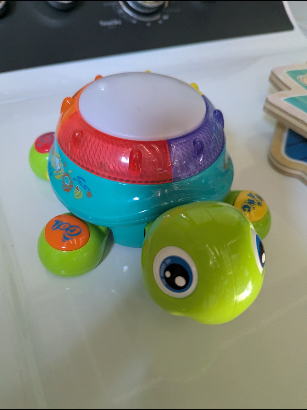 Colorful Light-Up Turtle Toy - Green/Teal